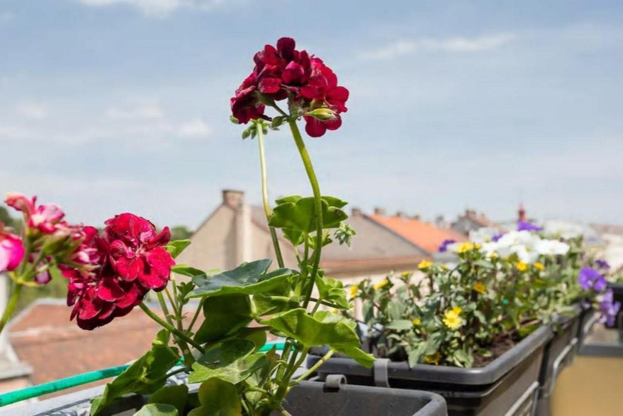 Visit Roof Terrace Morning Sun Wenen